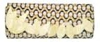 Donna — Multi Geisha With Cream Snake Leather